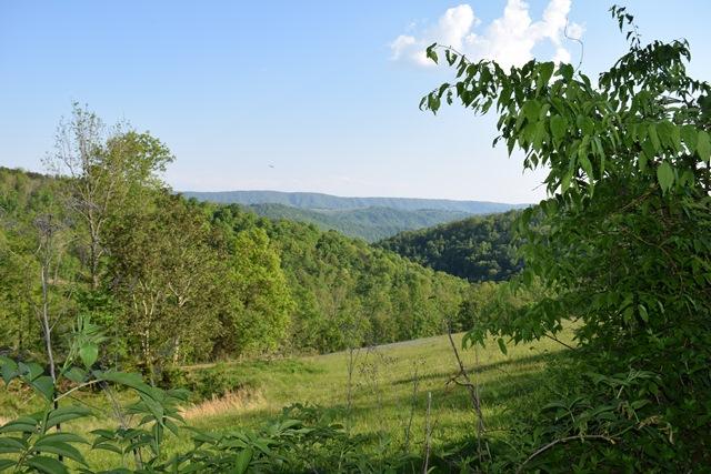 5 Raven Hill Road Tazewell, TN 37879 - Photo 11 of 22 DSC_0965-001