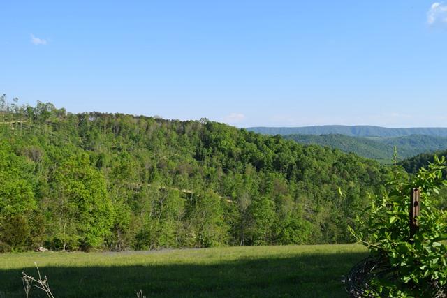 5 Raven Hill Road Tazewell, TN 37879 - Photo 12 of 22 DSC_0966-001