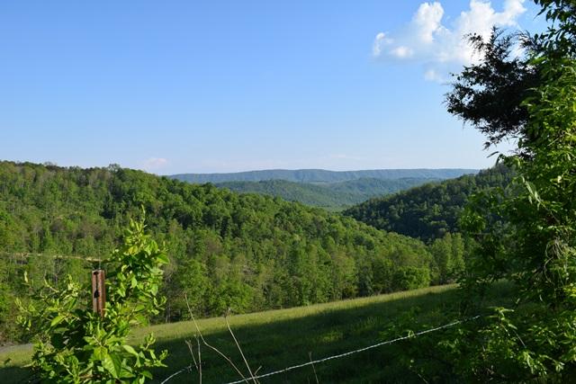 5 Raven Hill Road Tazewell, TN 37879 - Photo 14 of 22 DSC_0968-001