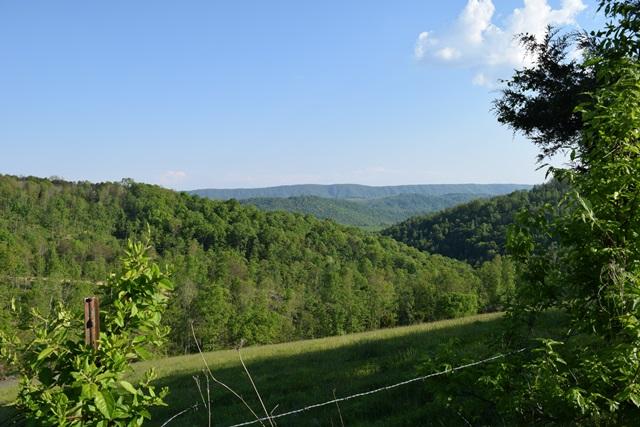 5 Raven Hill Road Tazewell, TN 37879 - Photo 15 of 22 DSC_0969-001