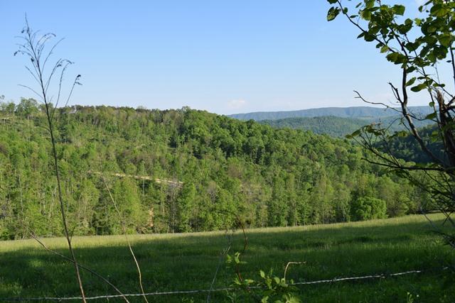 5 Raven Hill Road Tazewell, TN 37879 - Photo 16 of 22 DSC_0970-001