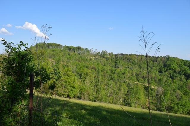 5 Raven Hill Road Tazewell, TN 37879 - Photo 17 of 22 DSC_0971-001