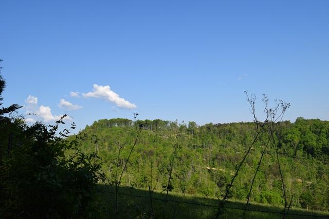 5 Raven Hill Road Tazewell, TN 37879 - Photo 20 of 22 DSC_0974-001