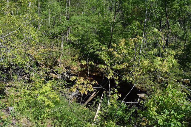 5 Raven Hill Road Tazewell, TN 37879 - Photo 3 of 22 DSC_0947-001
