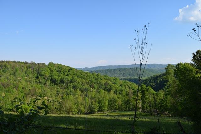 5 Raven Hill Road Tazewell, TN 37879 - Photo 21 of 22 DSC_0975-001