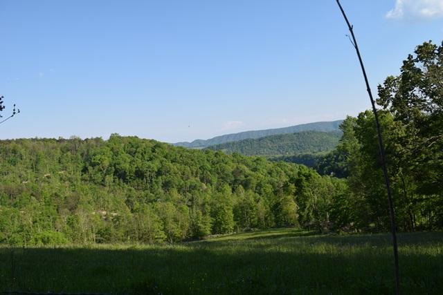 5 Raven Hill Road Tazewell, TN 37879 - Photo 22 of 22 DSC_0976-001