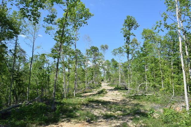 5 Raven Hill Road Tazewell, TN 37879 - Photo 6 of 22 DSC_0950-001
