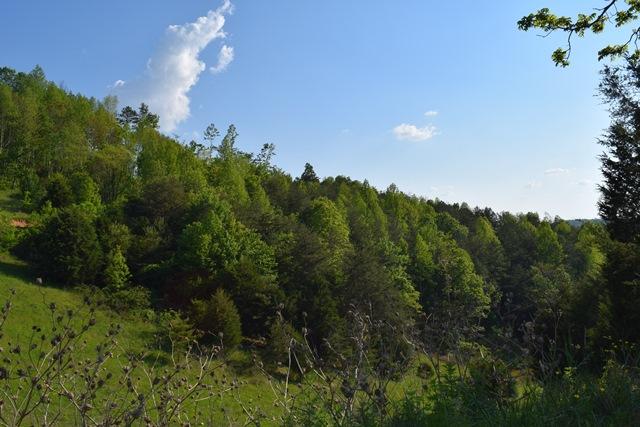5 Raven Hill Road Tazewell, TN 37879 - Photo 8 of 22 DSC_0955-001