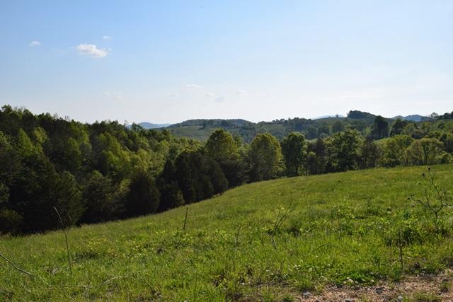 5 Raven Hill Road Tazewell, TN 37879 - Photo 9 of 22 DSC_0956-001