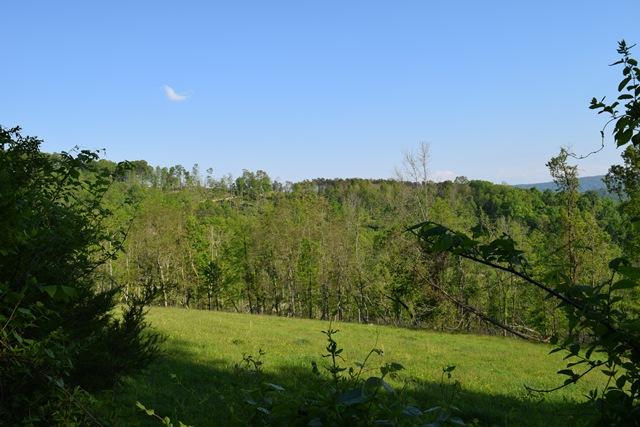 5 Raven Hill Road Tazewell, TN 37879 - Photo 10 of 22 DSC_0964-001