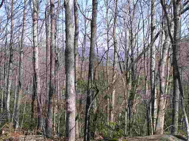 Lot 234 Cliff Ridge Drive Cleveland, SC 29635 - Photo 2 of 5