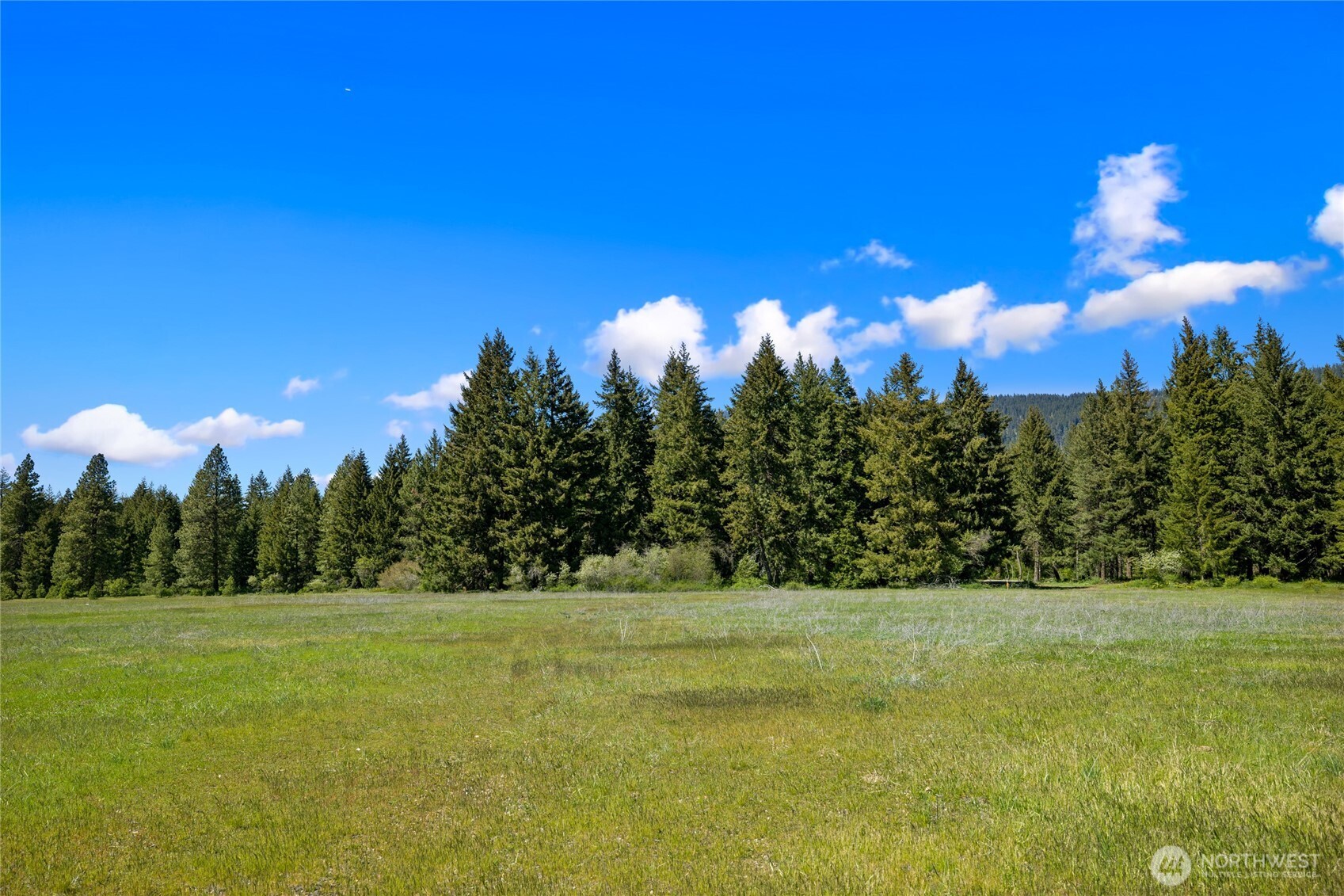 5 Nelson View Way Cle Elum, WA 98922 - Photo 19 of 40