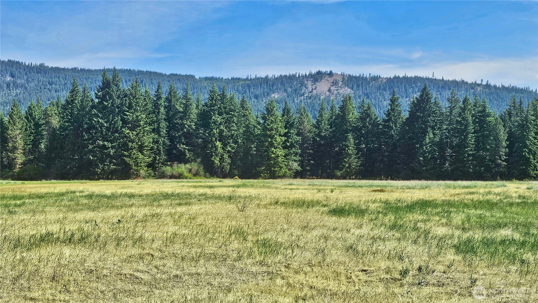 5 Nelson View Way Cle Elum, WA 98922 - Photo 20 of 40