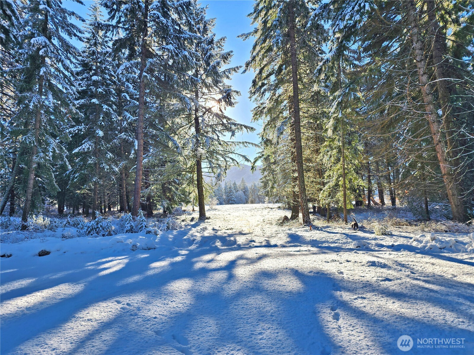 5 Nelson View Way Cle Elum, WA 98922 - Photo 2 of 40