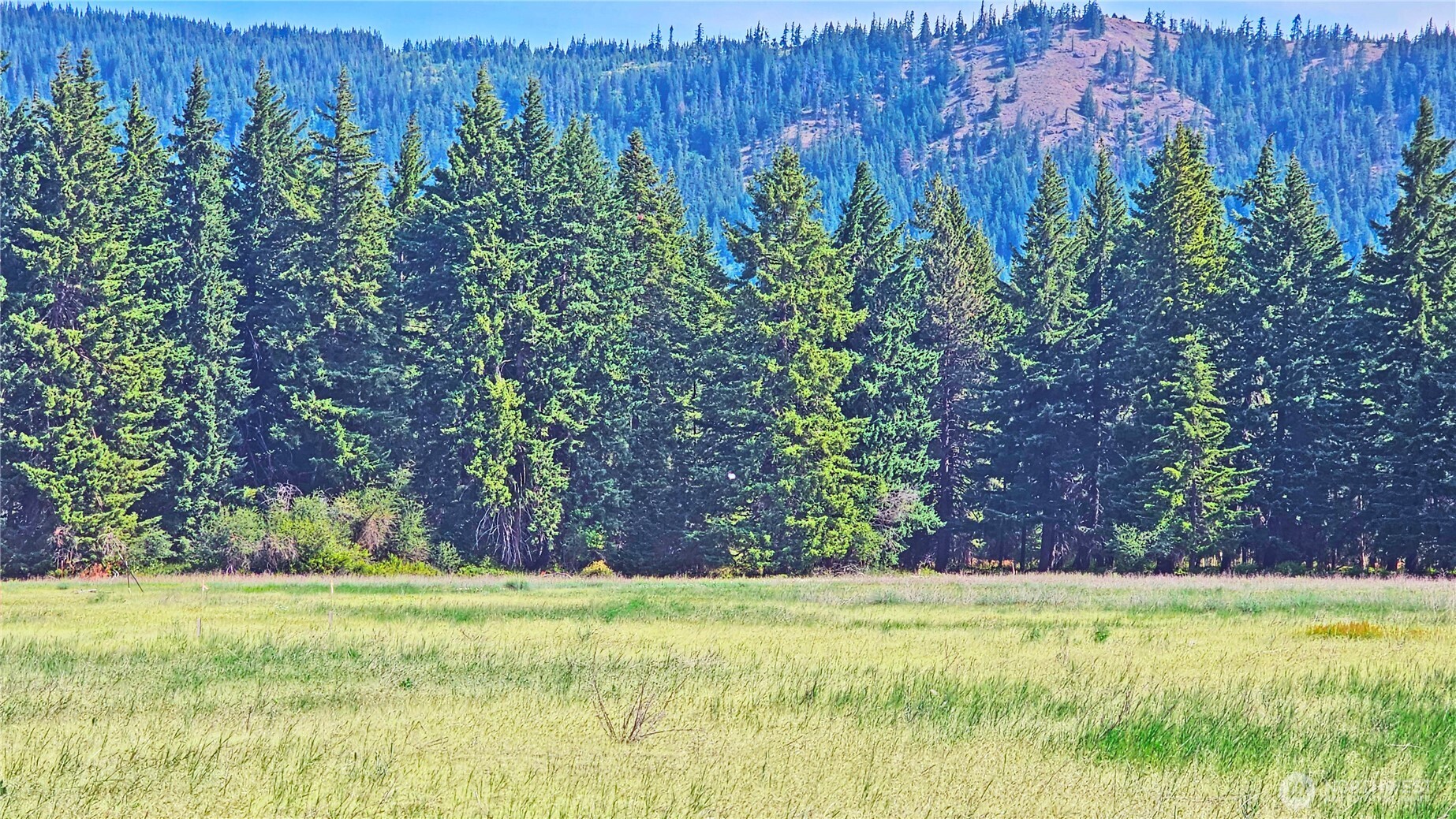 5 Nelson View Way Cle Elum, WA 98922 - Photo 21 of 40