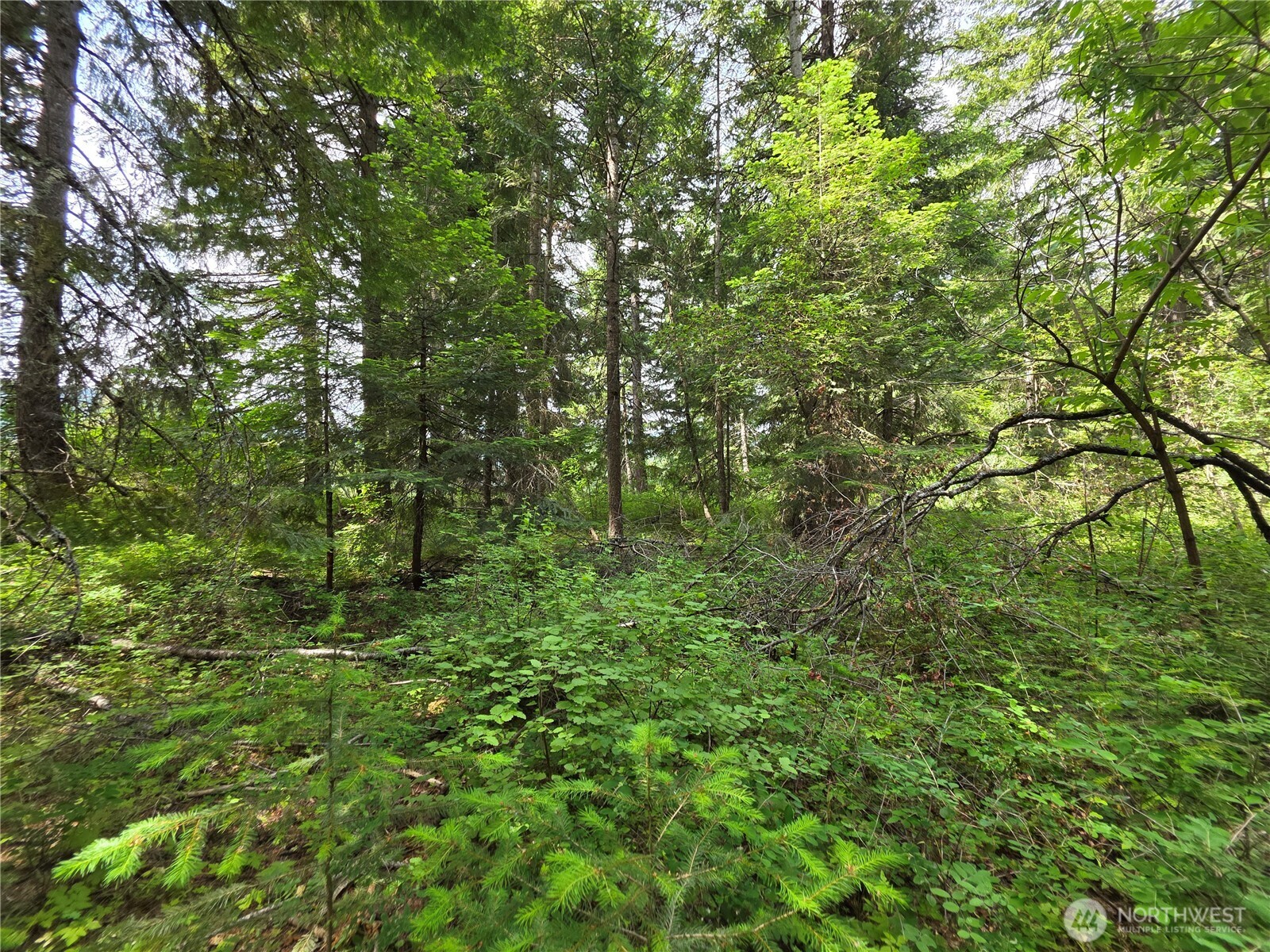 5 Nelson View Way Cle Elum, WA 98922 - Photo 23 of 40