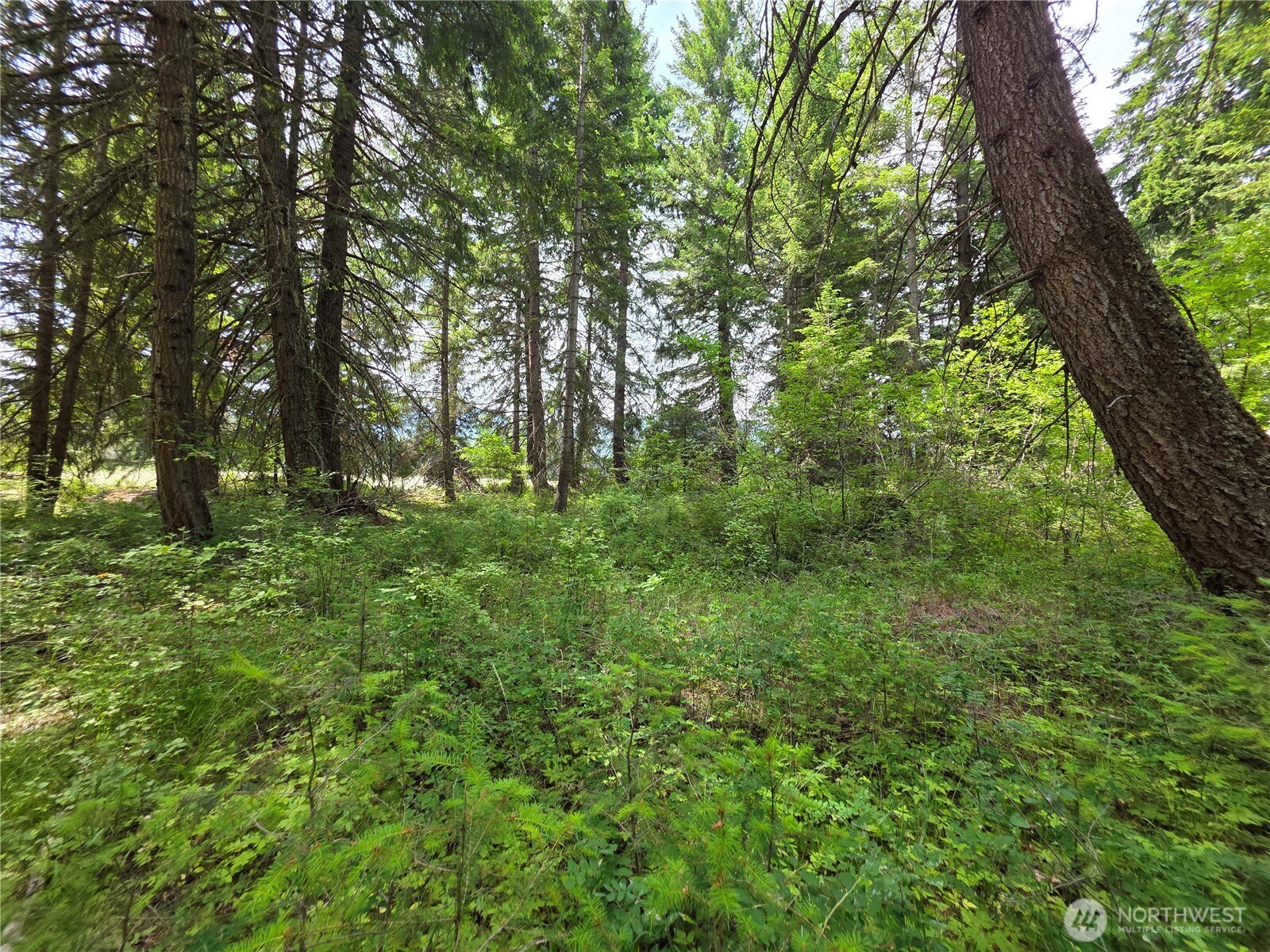 5 Nelson View Way Cle Elum, WA 98922 - Photo 24 of 40