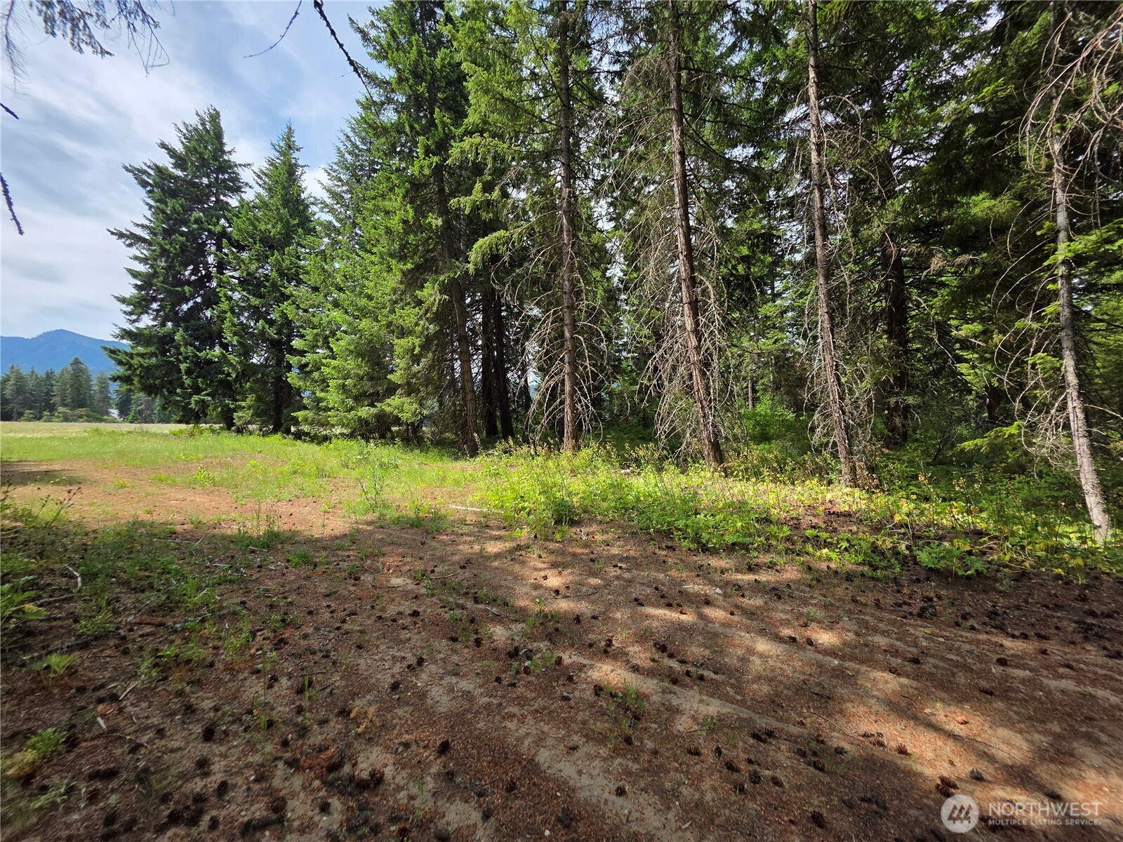 5 Nelson View Way Cle Elum, WA 98922 - Photo 29 of 40