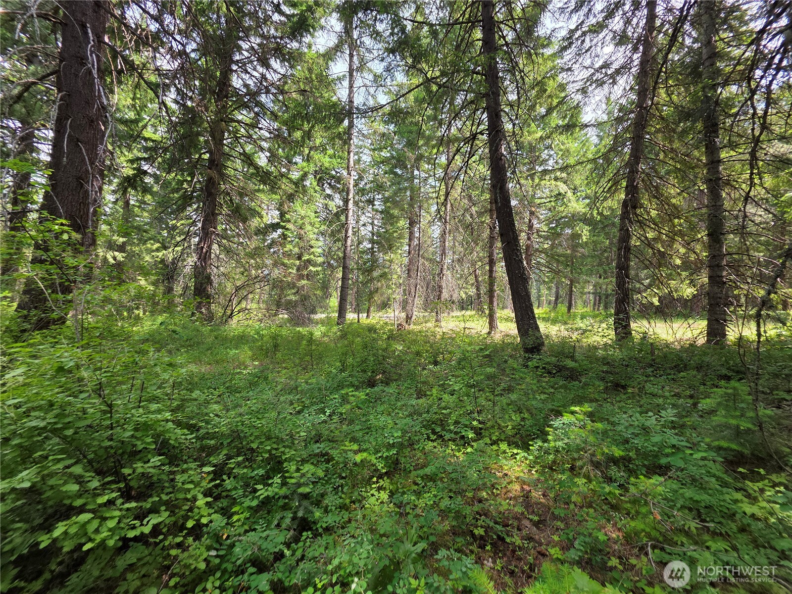 5 Nelson View Way Cle Elum, WA 98922 - Photo 30 of 40