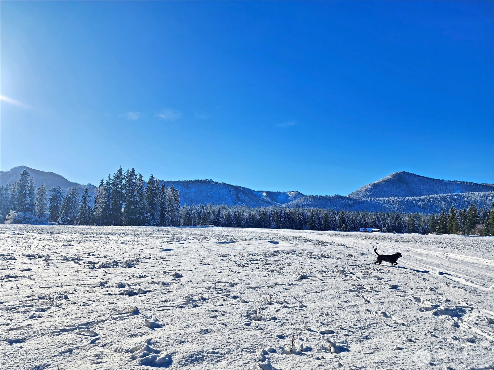 5 Nelson View Way Cle Elum, WA 98922 - Photo 3 of 40