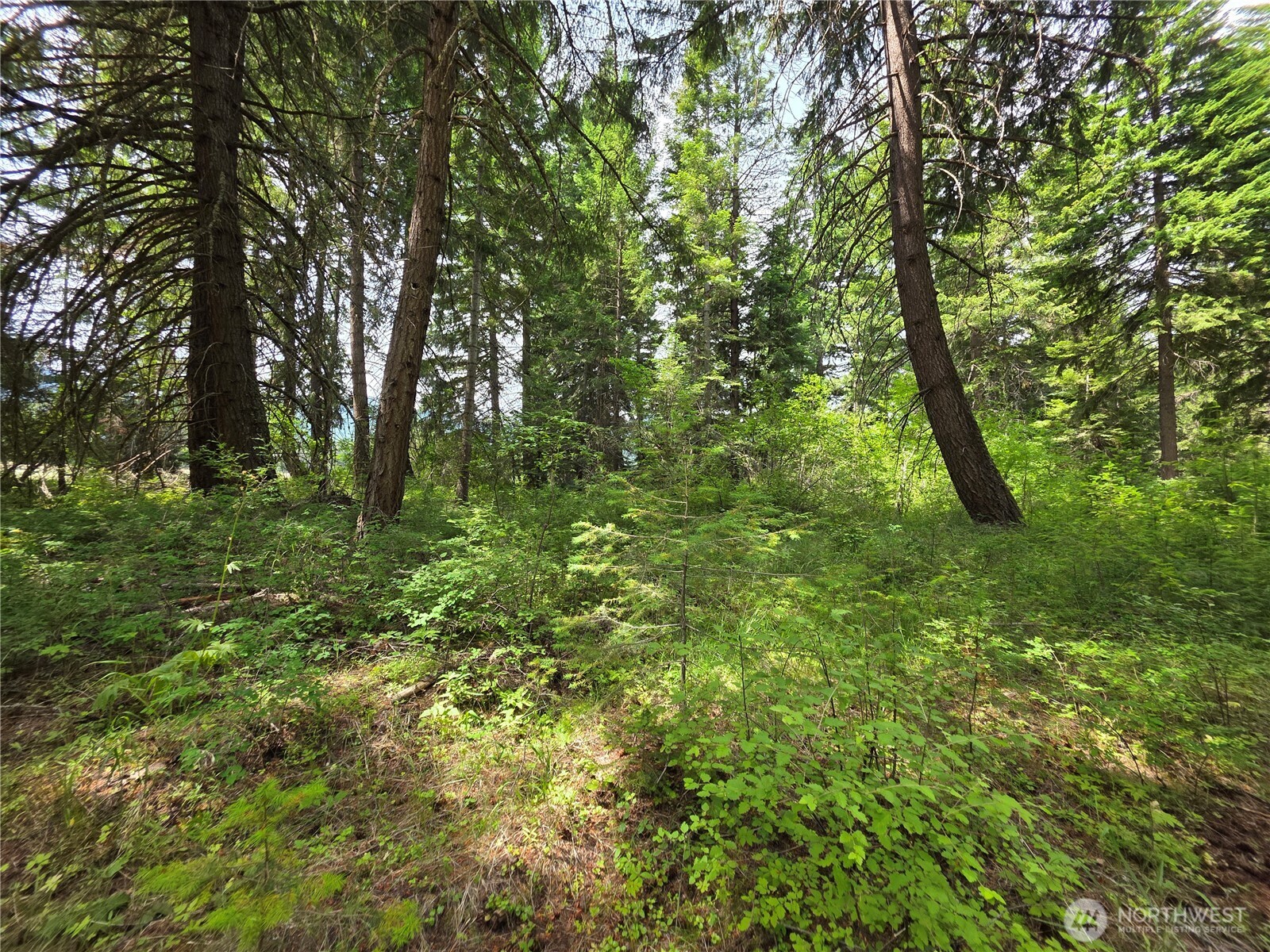 5 Nelson View Way Cle Elum, WA 98922 - Photo 31 of 40