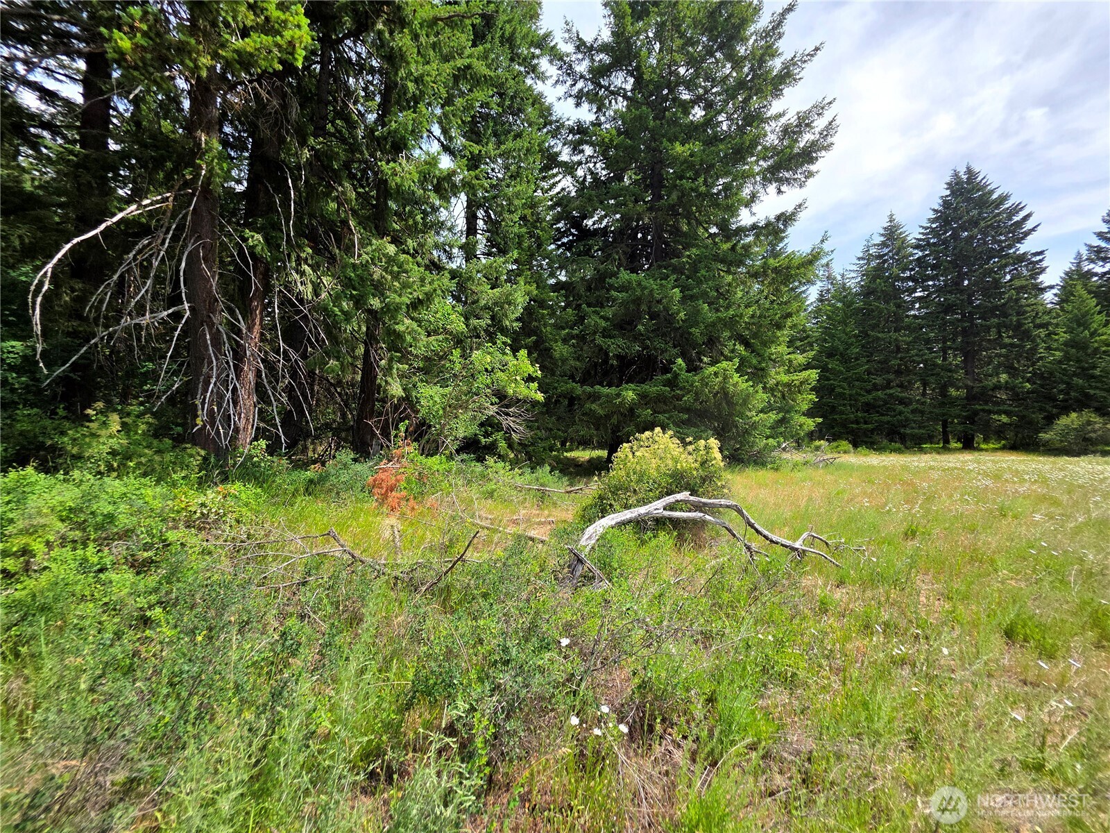 5 Nelson View Way Cle Elum, WA 98922 - Photo 32 of 40