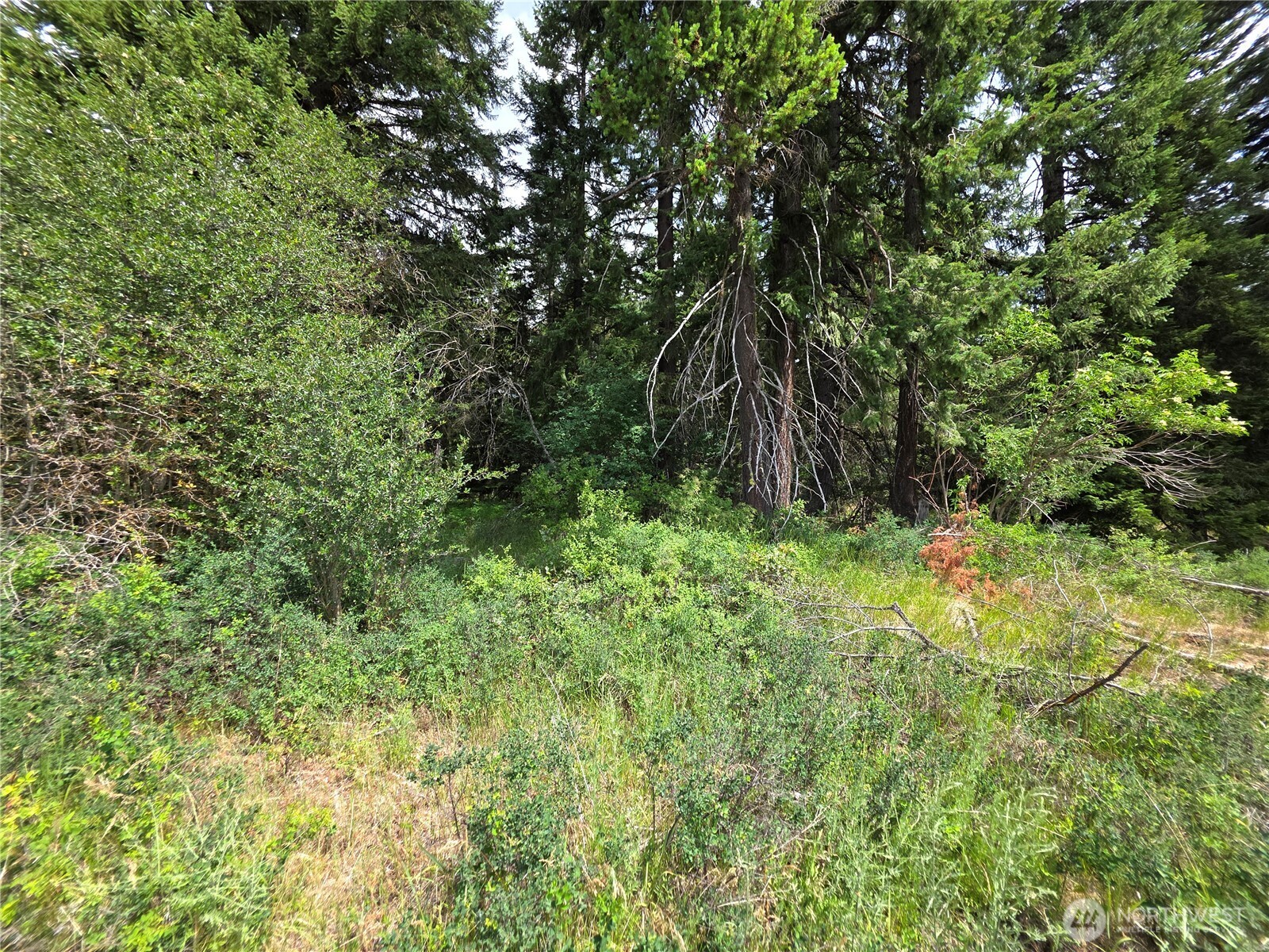 5 Nelson View Way Cle Elum, WA 98922 - Photo 33 of 40