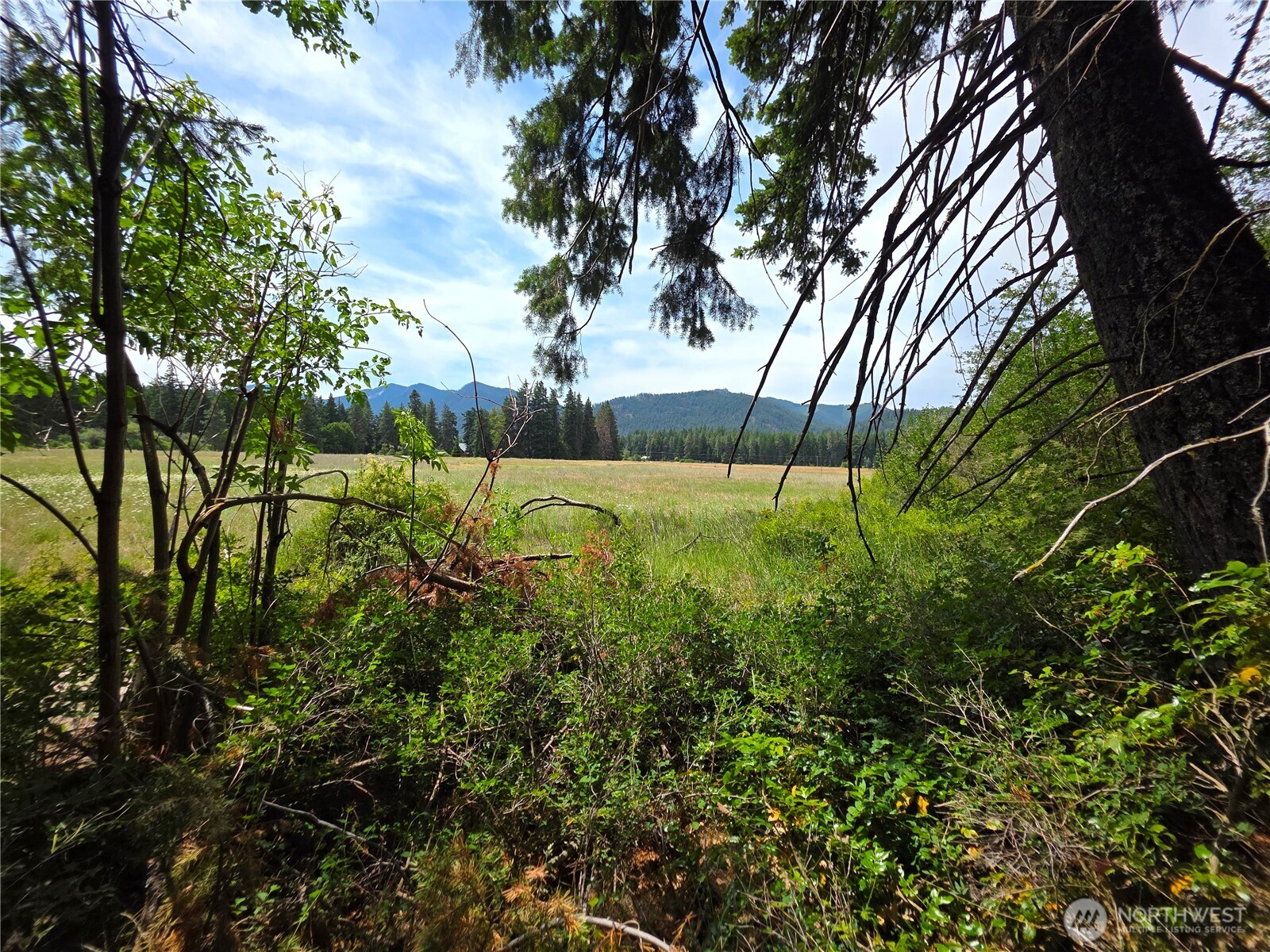 5 Nelson View Way Cle Elum, WA 98922 - Photo 35 of 40