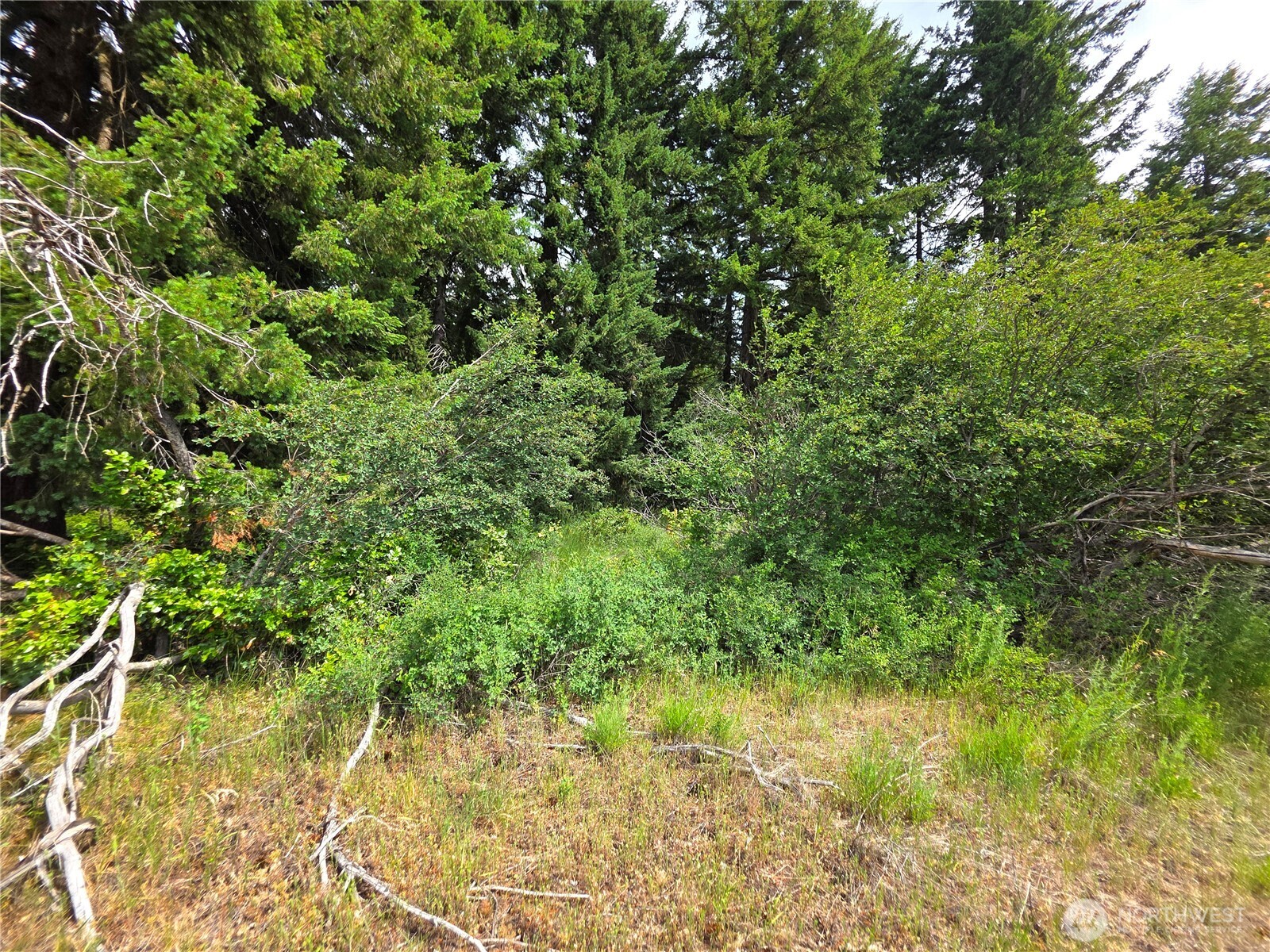 5 Nelson View Way Cle Elum, WA 98922 - Photo 36 of 40