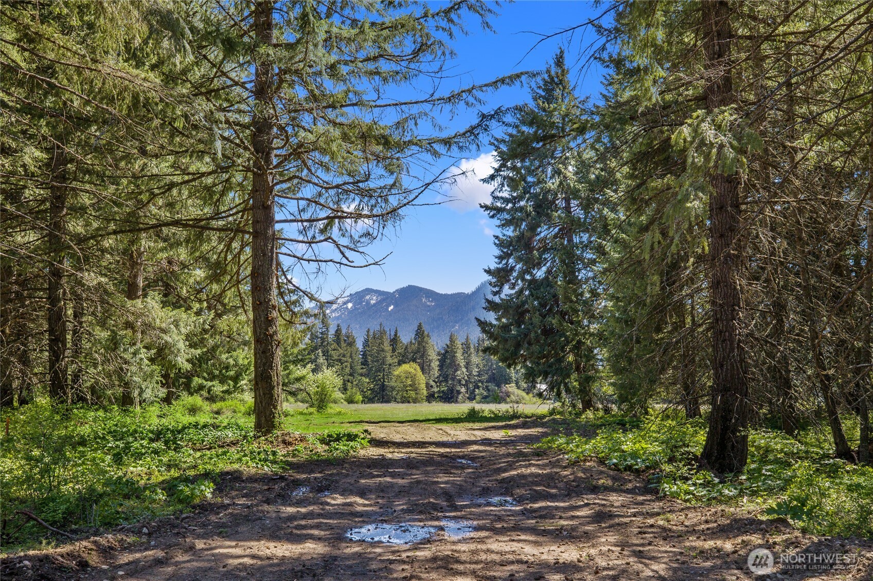 5 Nelson View Way Cle Elum, WA 98922 - Photo 40 of 40