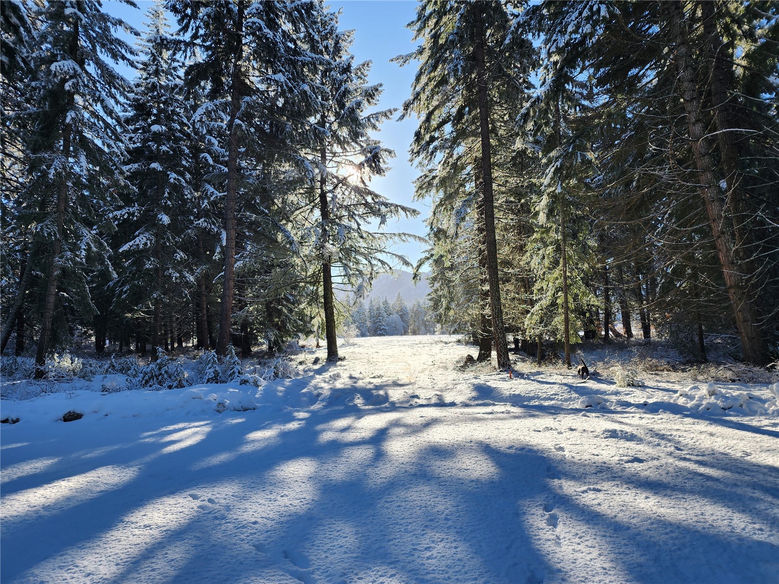 5 Nelson View Way Cle Elum, WA 98922 - Photo 6 of 40