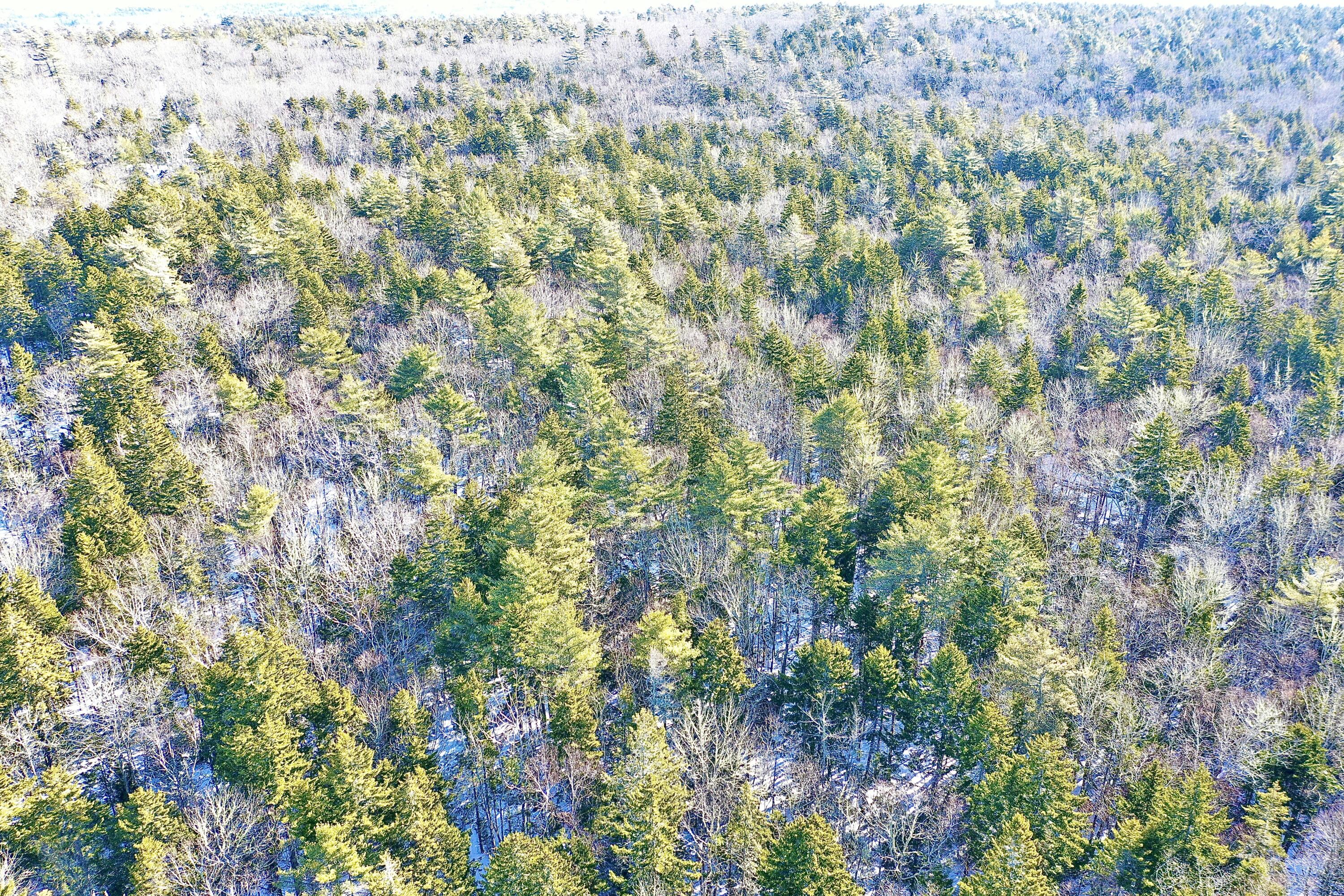 0 Soldiers Cove Road Pemaquid, ME 04558 - Photo 5 of 7 00 Solders Cove Road, Bristol