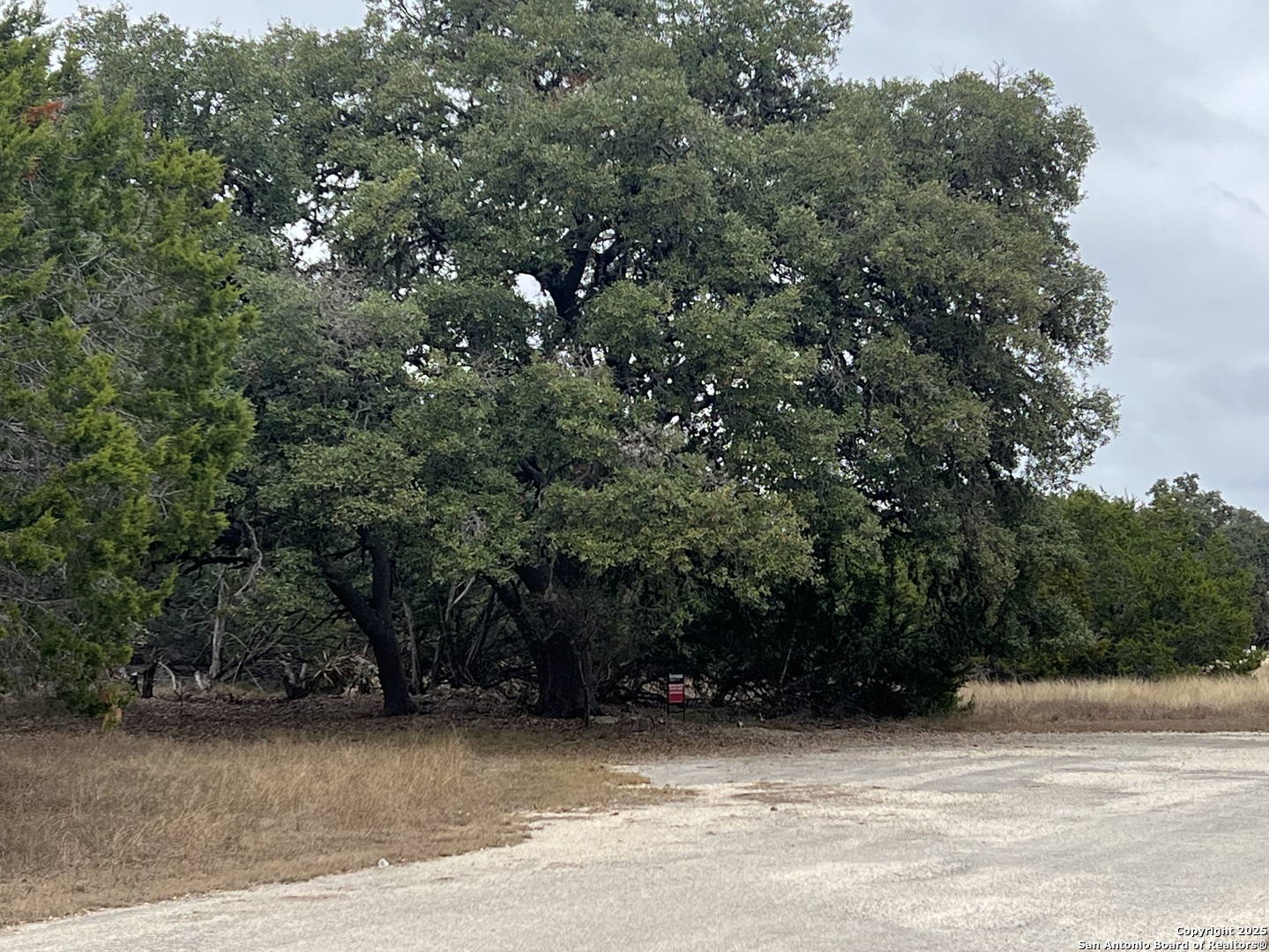 a view of a house with a tree