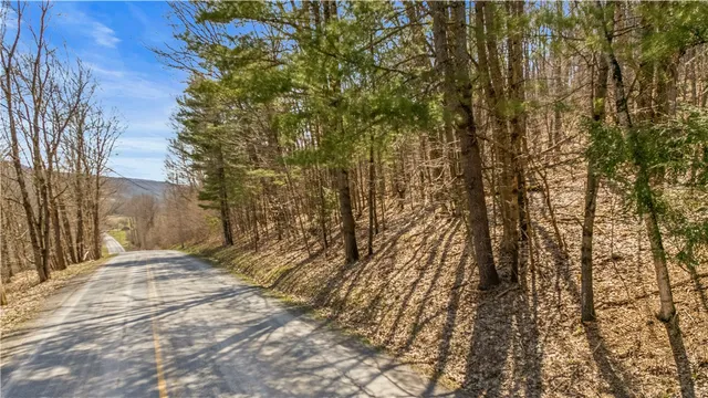 $39,900 | L9.113 Lutheranville Road, East Worcester, NY 12064