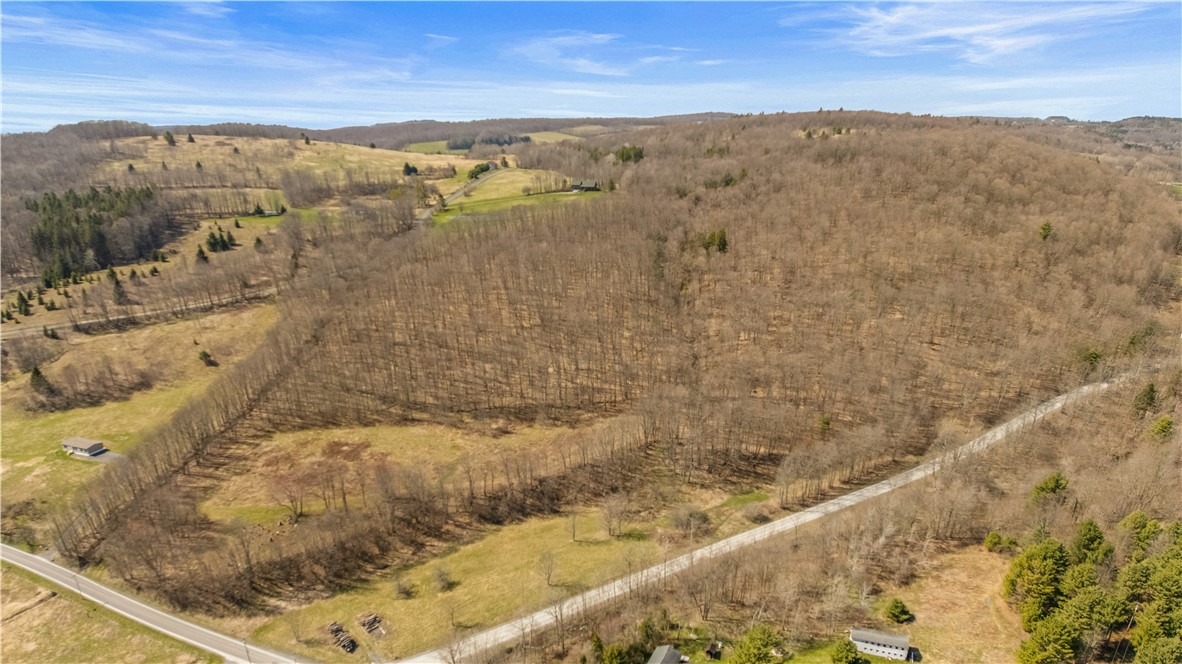 L9.113 Lutheranville Road East Worcester, NY 12064 - Photo 14 of 15