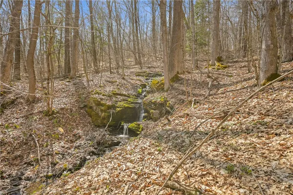 $39,900 | L9.113 Lutheranville Road, East Worcester, NY 12064