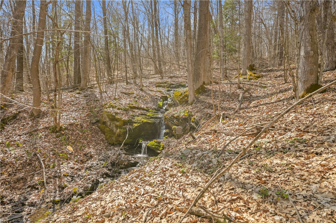 L9.113 Lutheranville Road East Worcester, NY 12064 - Photo 2 of 15