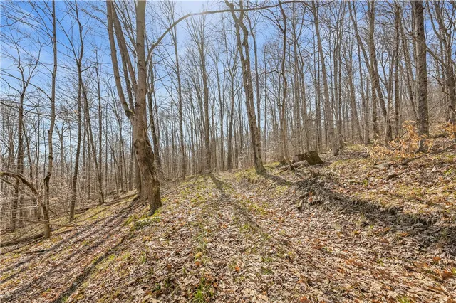 $39,900 | L9.113 Lutheranville Road, East Worcester, NY 12064