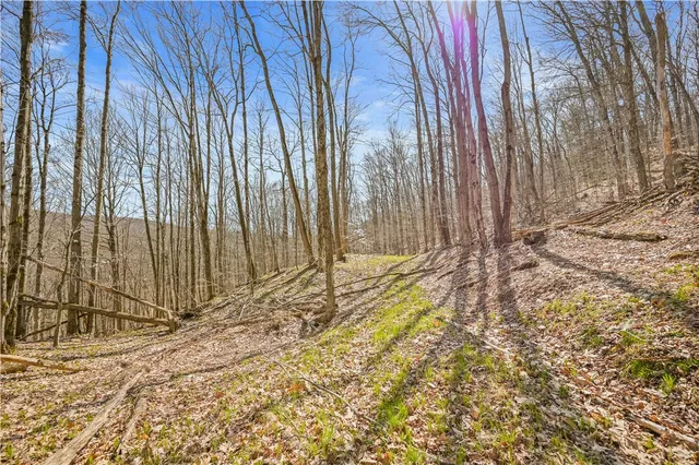 $39,900 | L9.113 Lutheranville Road, East Worcester, NY 12064