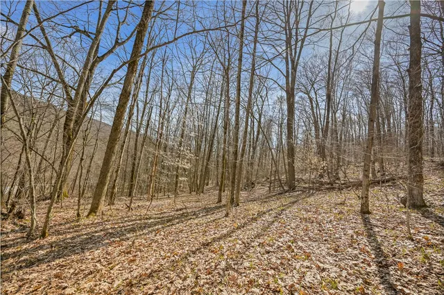 $39,900 | L9.113 Lutheranville Road, East Worcester, NY 12064