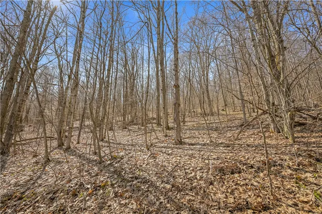 $39,900 | L9.113 Lutheranville Road, East Worcester, NY 12064