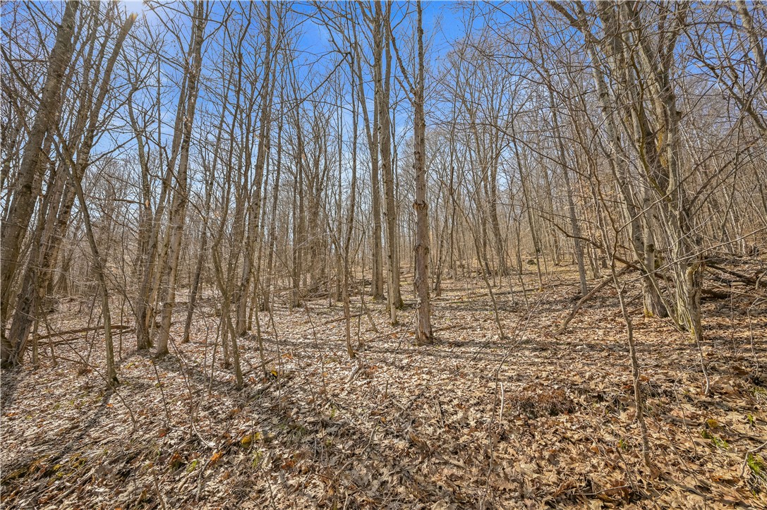 L9.113 Lutheranville Road East Worcester, NY 12064 - Photo 7 of 15