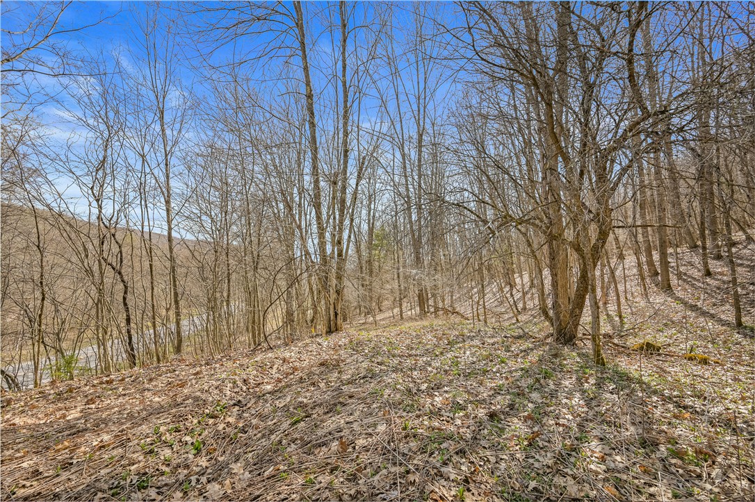 L9.113 Lutheranville Road East Worcester, NY 12064 - Photo 8 of 15