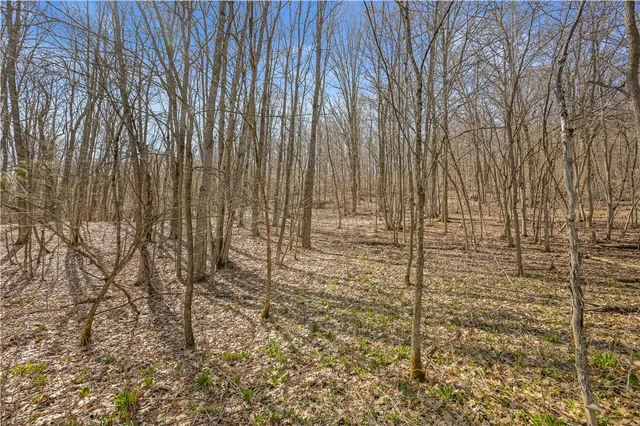 $39,900 | L9.113 Lutheranville Road, East Worcester, NY 12064