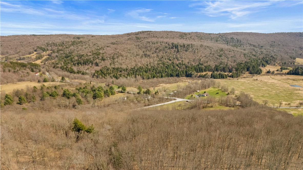 L9.113 Lutheranville Road East Worcester, NY 12064 - Photo 10 of 15