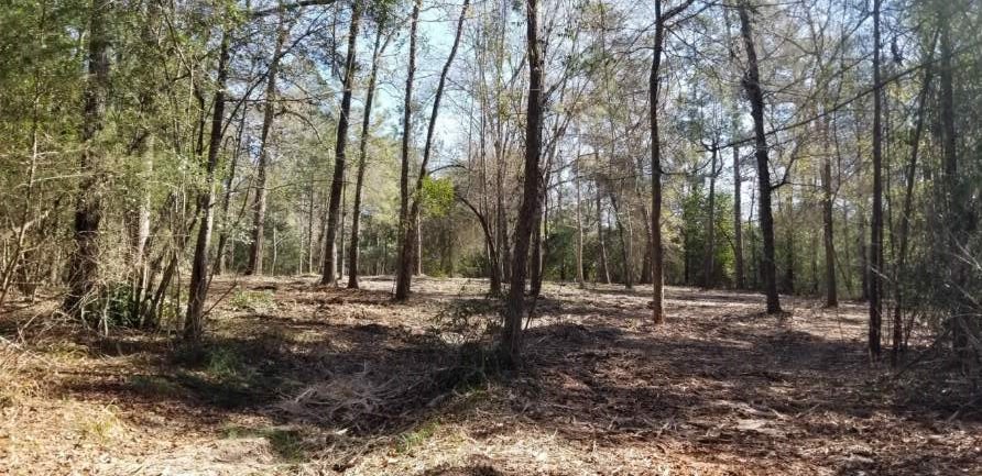 a view of outdoor space with trees