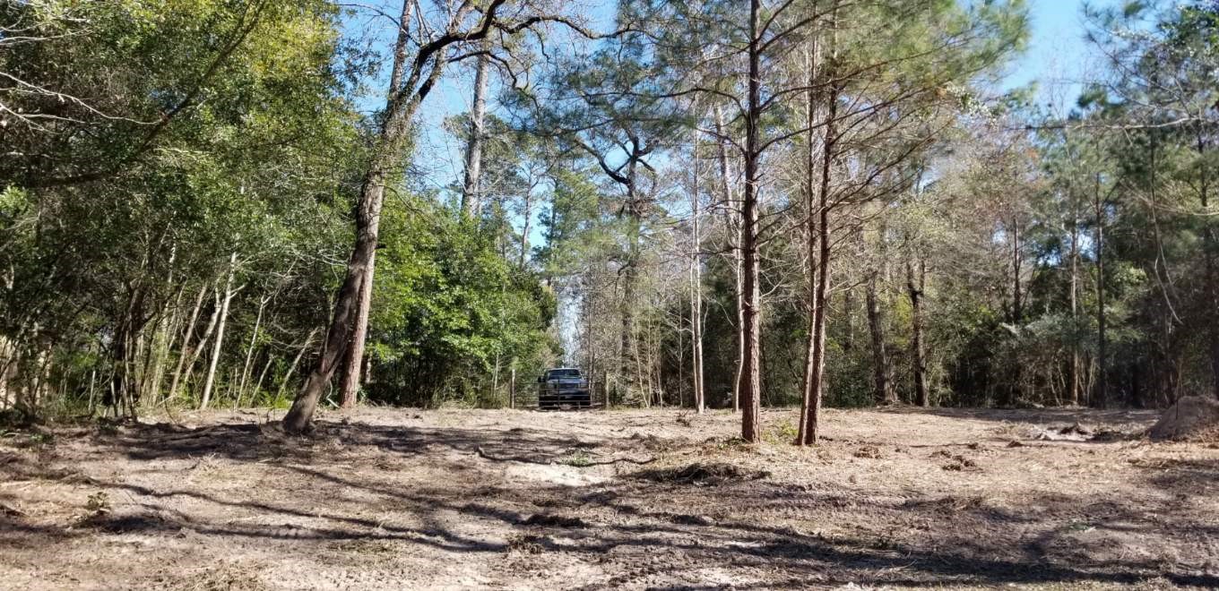 Tbd Linwood Conroe, TX 77304 - Photo 2 of 6 a backyard of a house with large trees