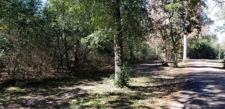 Tbd Linwood Conroe, TX 77304 - Photo 3 of 6 a view of a tree with a yard