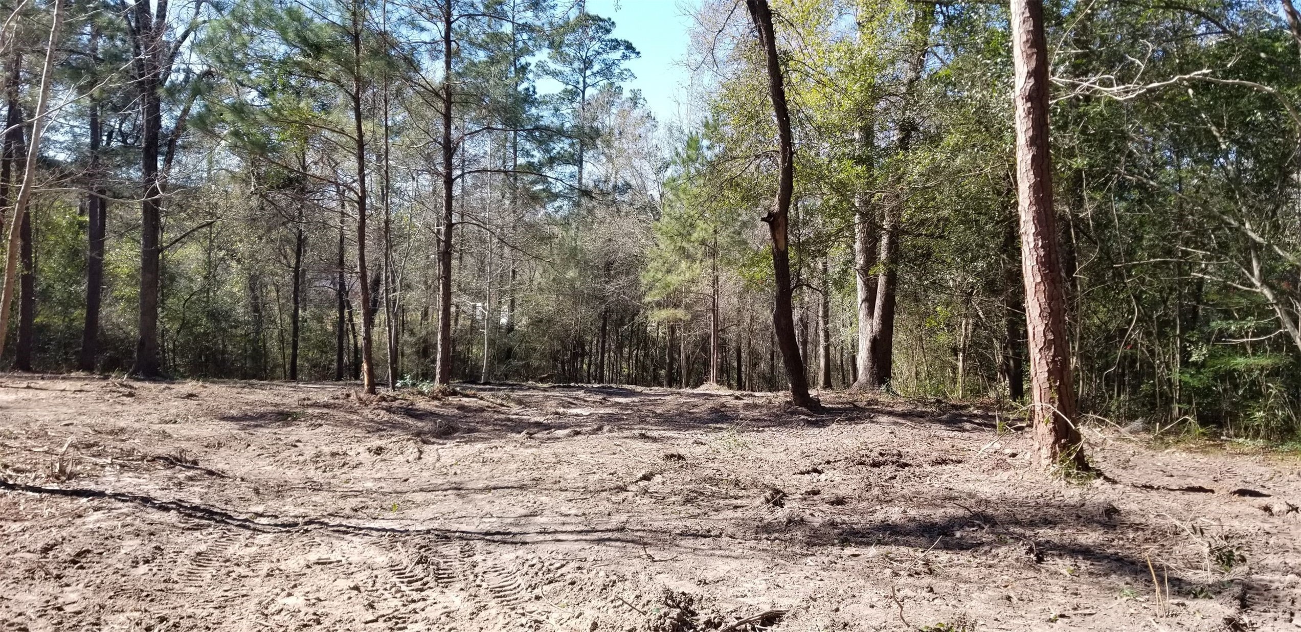 Tbd Linwood Conroe, TX 77304 - Photo 5 of 6 a view of a backyard of a house