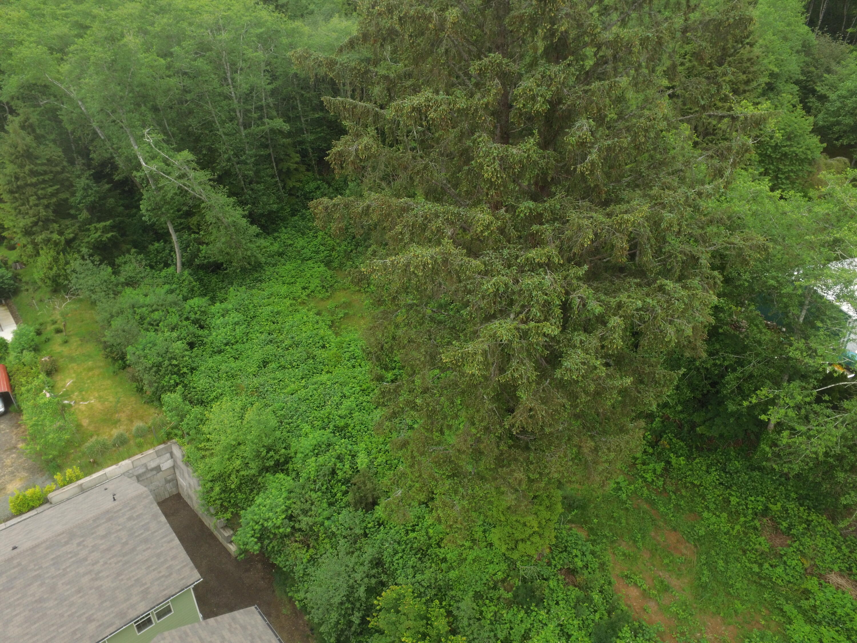 Vl Halverson Lane Garibaldi, OR 97118 - Photo 8 of 19 DJI_0015